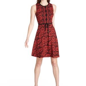 Tommy Hilfiger Red and Black Floral  Dress